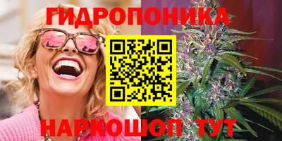 ECSTASY Моздок
