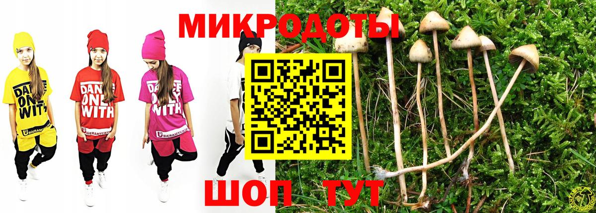 Псилоцибиновые грибы MAGIC MUSHROOMS  Вход с VPN  Ишим 