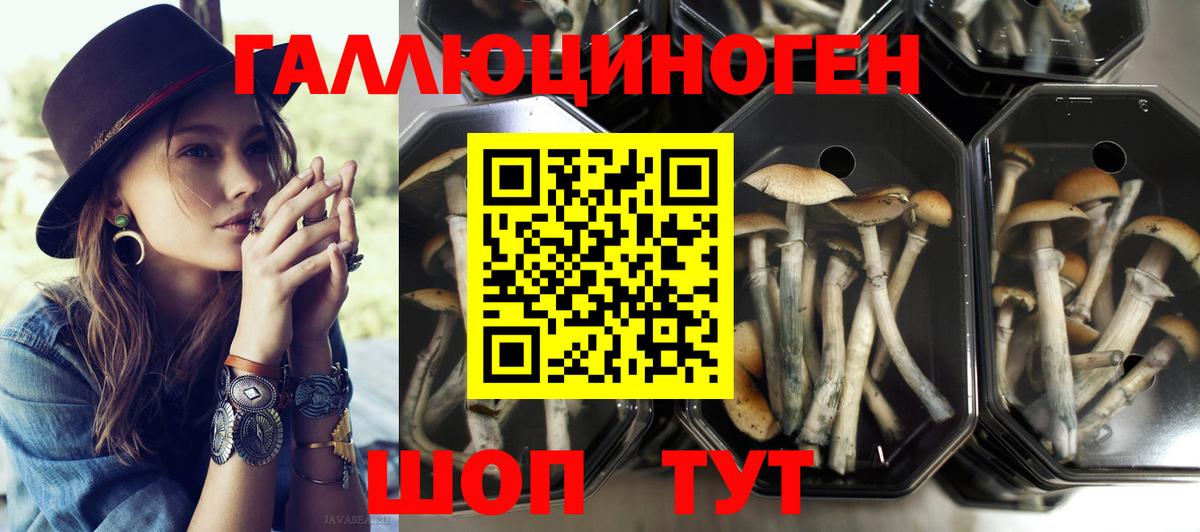 Галлюциногенные грибы мицелий Ишим